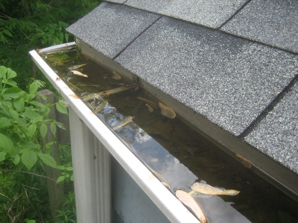 Gutter Cleaning Services New Jersey