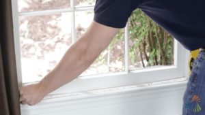 Branchburg Window Contractor